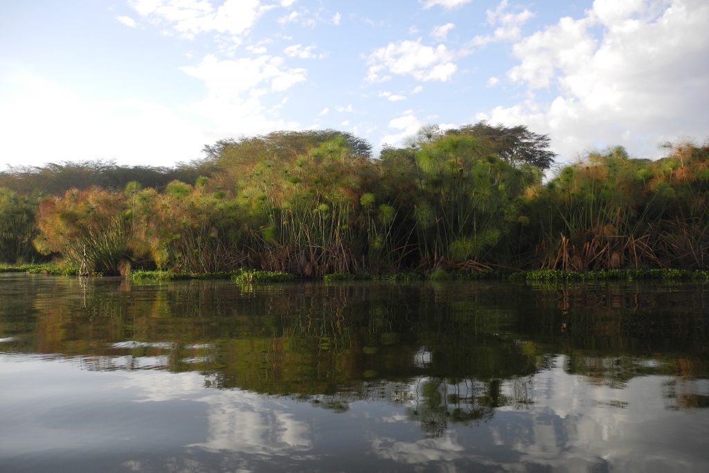 Lake Naivasha 2