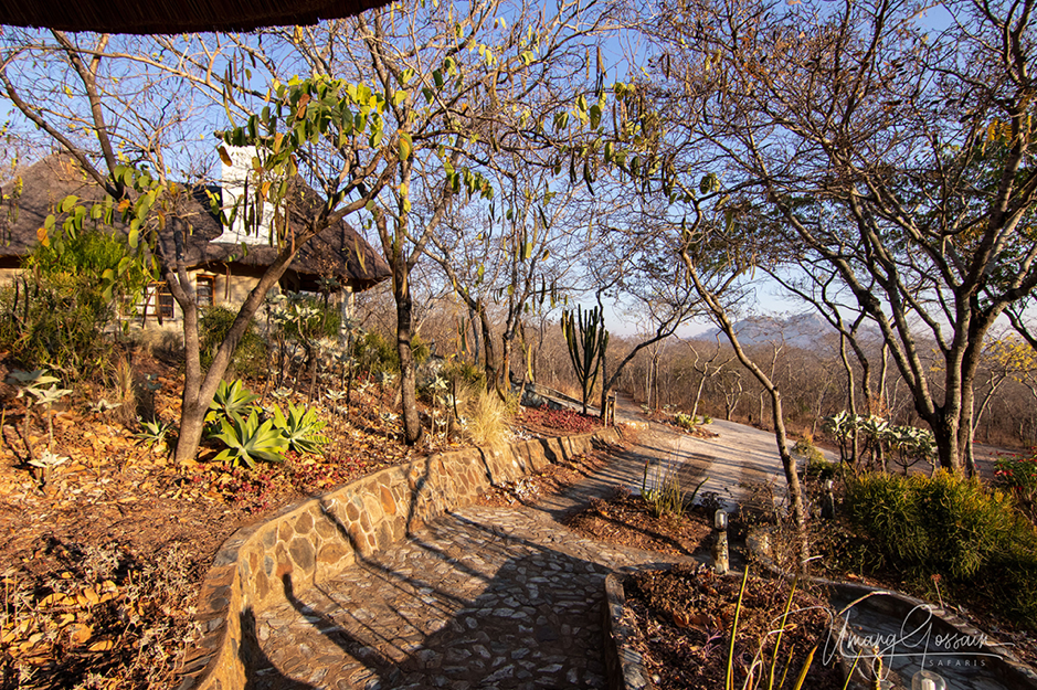 Musangano Lodge