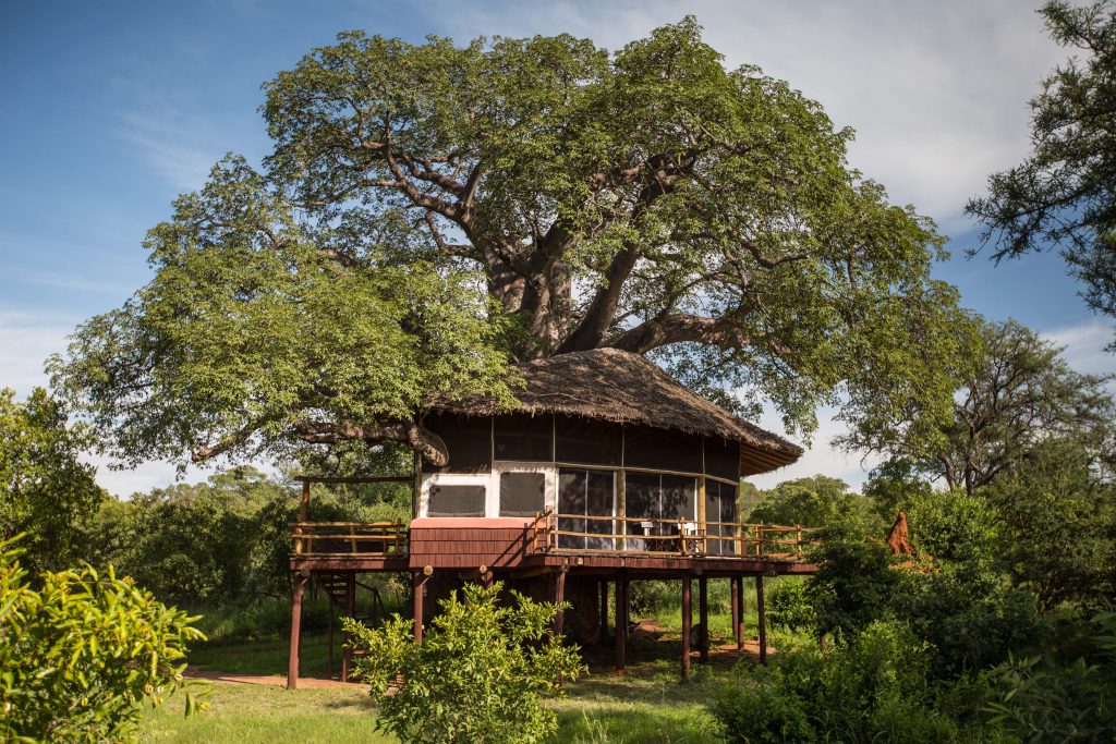 Tarangire Treetops