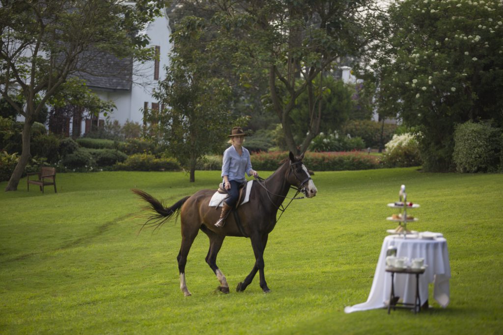 TheManor - Horse Riding and High Tea