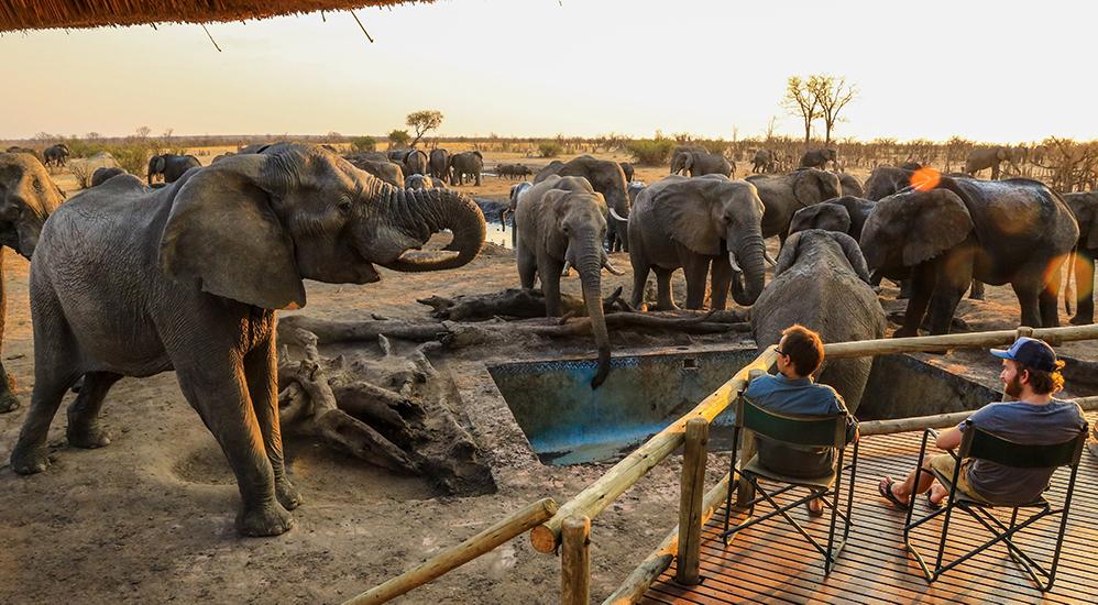 Zimbabwe Safari Adventure